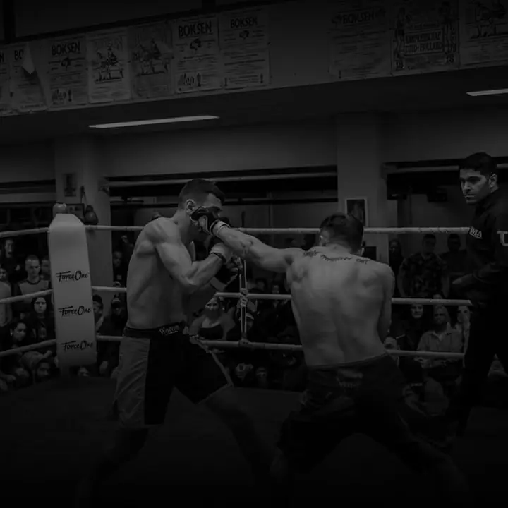 Box-Sparring