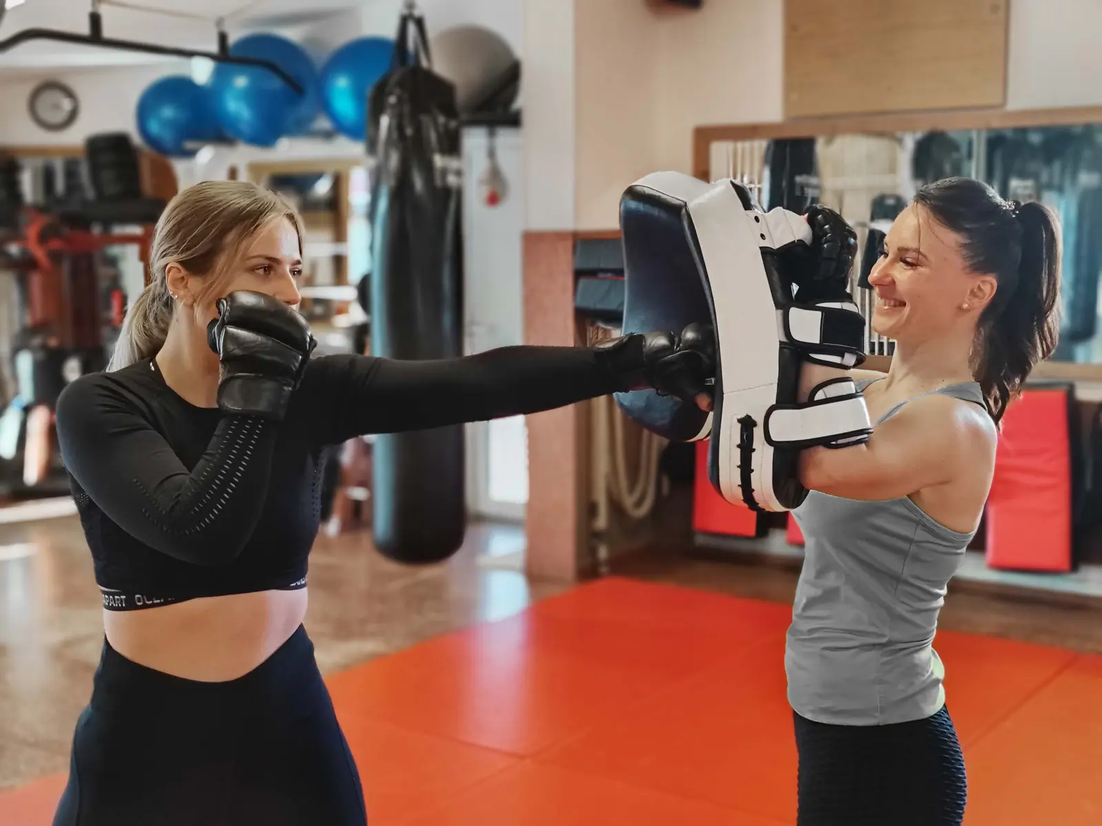 Fit-Boxen mit Pratzen in Minden